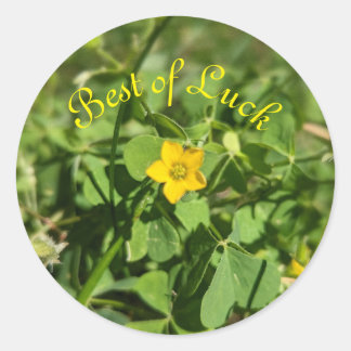 Sticker Rond Petit peu de fleur de chance