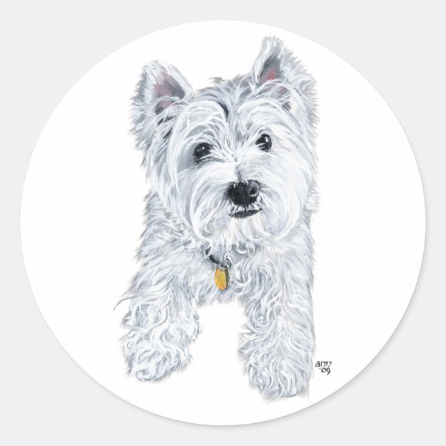 Sticker Rond Petit Westie curieux (Devant)