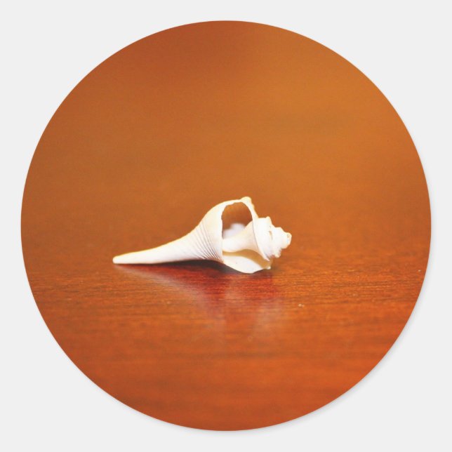 Sticker Rond Petite coque (Devant)