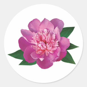 Sticker Rond Petite Pierre rose