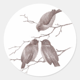 Sticker Rond Petits oiseaux causant sur une sépia de branche