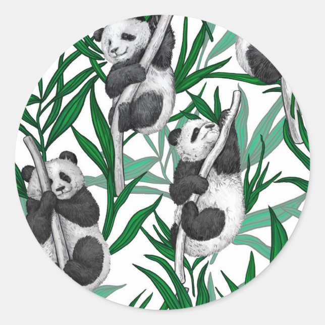 Sticker Rond Petits panda sur (Devant)