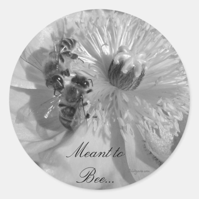 Sticker Rond Phoques de Faire-part de mariage à fleurs blanches (Devant)