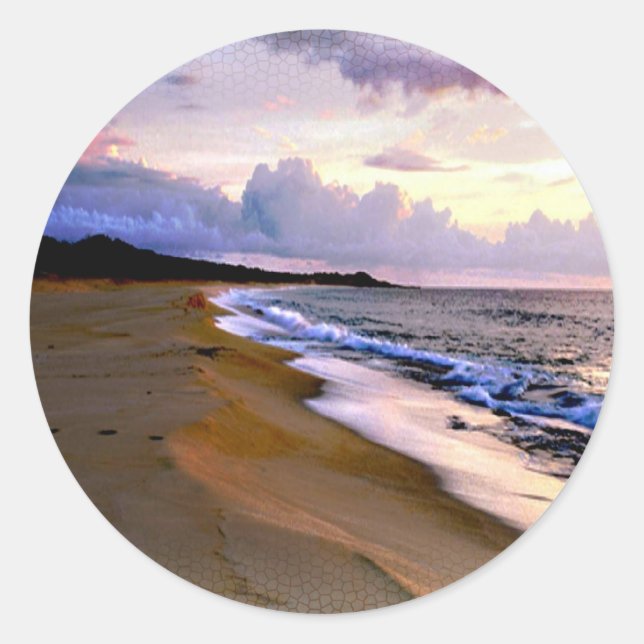 Sticker Rond Phoques d'enveloppe de plage (Devant)