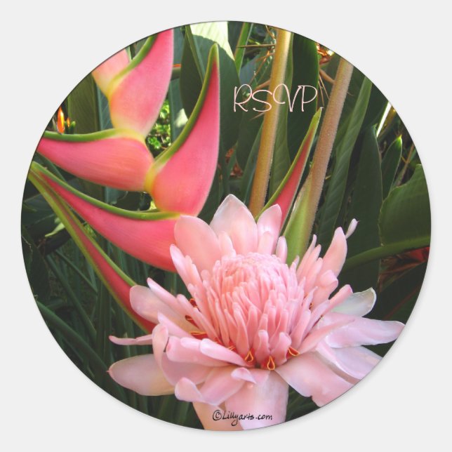 Sticker Rond Phoques d'enveloppe Mariage Heliconia Ginger rose (Devant)