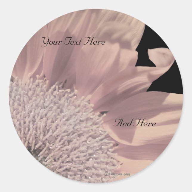 Sticker Rond Phoques d'enveloppe personnalisée Gerbera rose (Devant)