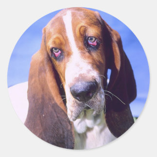 Sticker Rond Phoques d'enveloppes de chien : Hound de boule sol