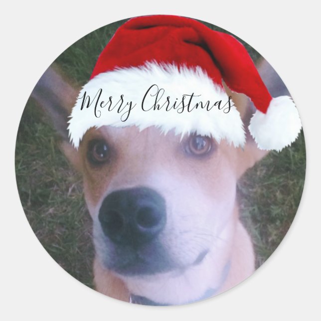 Sticker Rond Photo de chien personnalisée Noël (Devant)