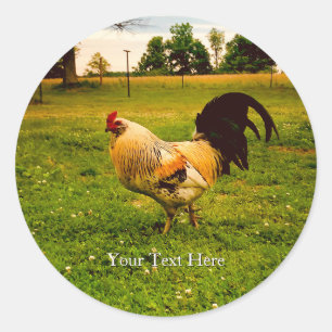 Sticker Rond Photo de coq coloré personnalisé de la vie à la fe