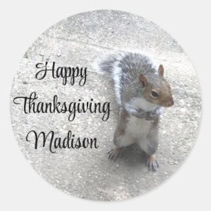 Sticker Rond Photo de Cute Little Squirrel avec Queue Fluffy
