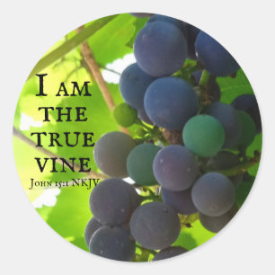 Sticker Rond Photo de Raisins Violets Évangile de Jean Bible Ve