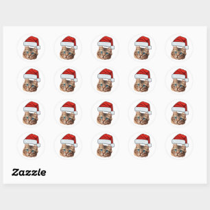 Sticker Rond Photo de visage de chat personnalisé avec chapeau 