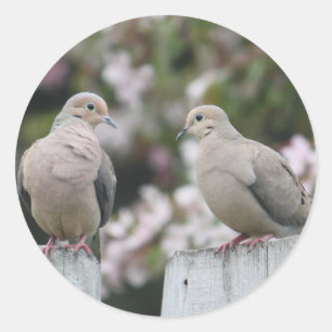 Sticker Rond Photo Doves en deuil