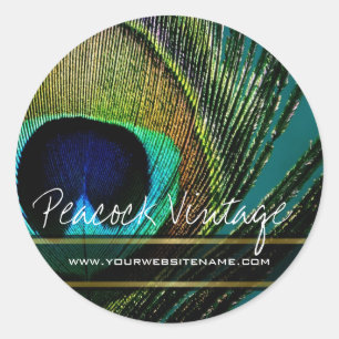 Sticker Rond Photo élégant de plume de paon vintage colorée