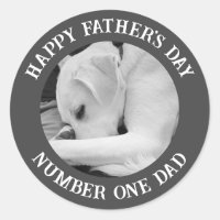 Photo en noir et blanc de mignon chien reposant su