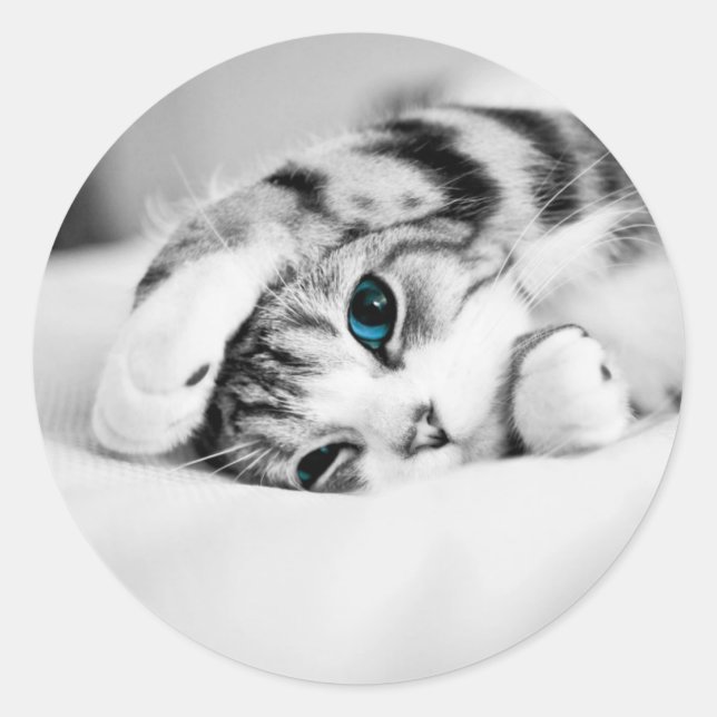 Sticker Rond Photo en noir et blanc d'un chat (Devant)