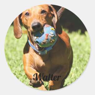 Sticker Rond Photo et texte personnalisés