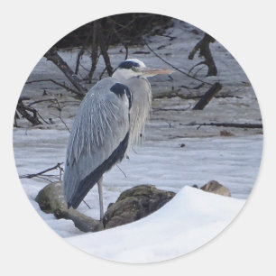 Sticker Rond Photo Great Blue Heron Snow