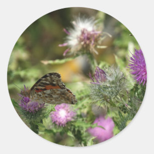 Sticker rond photo papillon, brillant