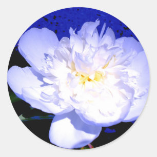 Sticker Rond Photo Peony blanc et violet