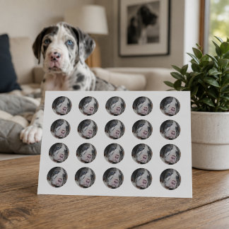 Sticker Rond Photo Rond de Chien Personnalisé