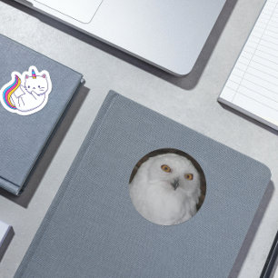 Sticker Rond Photo White Snowy Owl