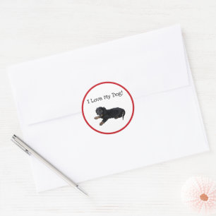 Sticker Rond Photographie de chiot Cocker Spaniel teckel noir