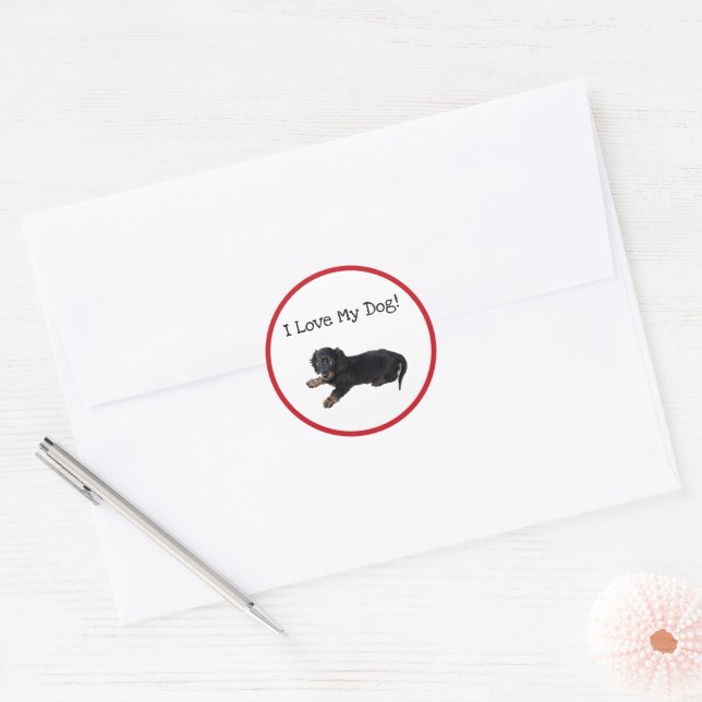 Sticker Rond Photographie de chiot Cocker Spaniel teckel noir (Enveloppe)
