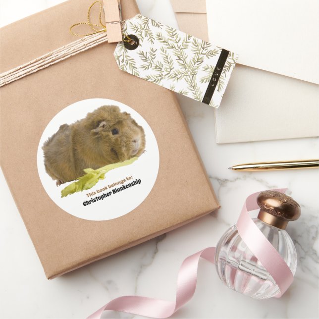 Sticker Rond Photographie de cochon d'Inde adorable mangeant du (Cadeaux)