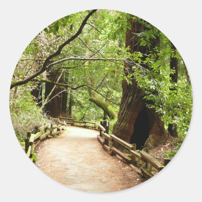 Sticker Rond Photographie de la nature du chemin de Muir Woods  (Devant)