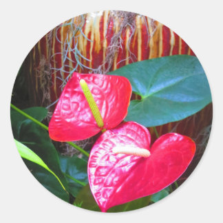 Sticker Rond Photos de fleurs de Longwood Gardens