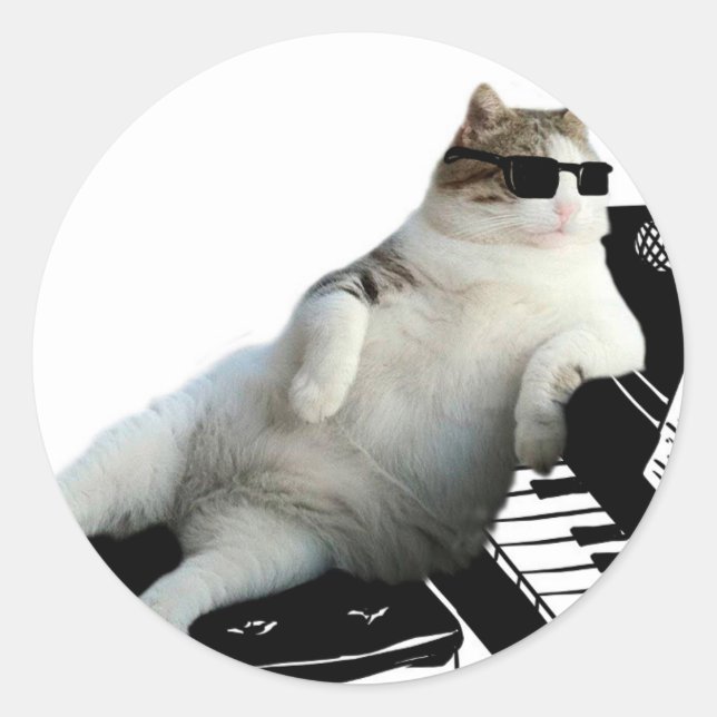 Sticker Rond Pianiste de chat aveugle (Devant)