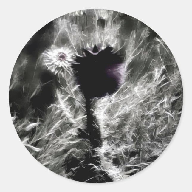 Sticker Rond Pick (Devant)