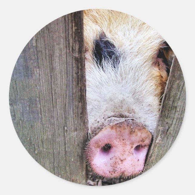 STICKER ROND PIÈCES (Devant)