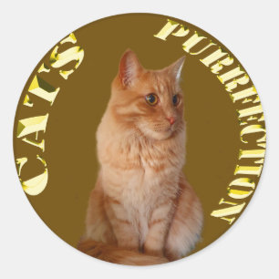 Sticker Rond Pièces De Chat En Or Avec Chat De Gingembre, Stick