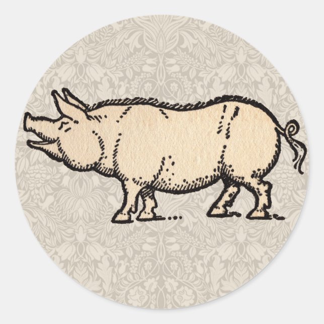 Sticker Rond Pig Antique Piggy Cute Illustration Vintage (Devant)