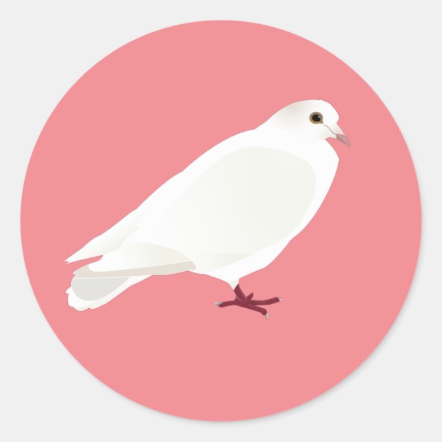 Sticker Rond Pigeon blanc (colombe) (Devant)