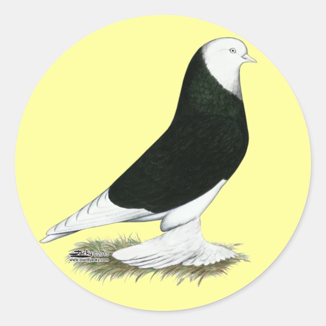 Sticker Rond Pigeon de l'ouest (Devant)
