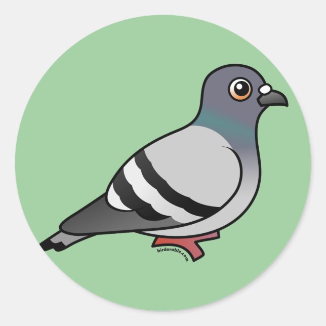 Sticker Rond Pigeon Rocher (Devant)