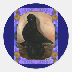 Sticker Rond Pigeon Tumbler Déformé