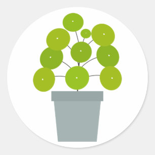 Sticker Rond Pilea peperomioides en pots plante vert