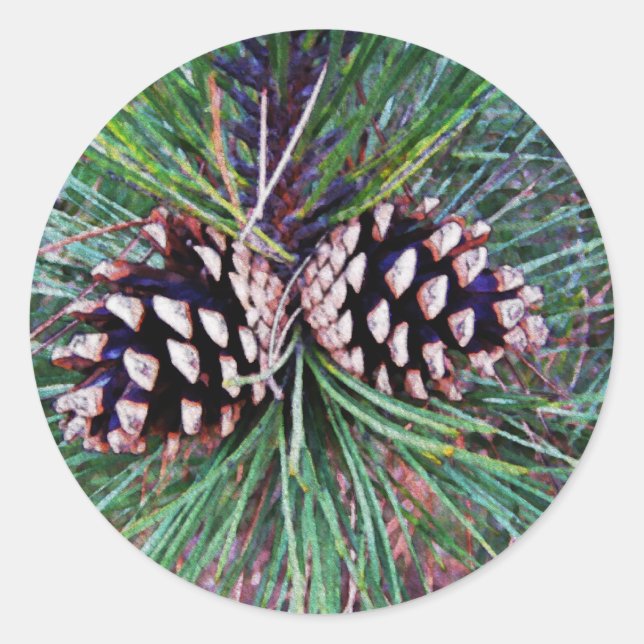 Sticker Rond Pin d'hiver (Devant)