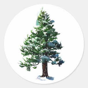 Sticker Rond Pine Arbre avec Aquarelle de neige Peinture Noël