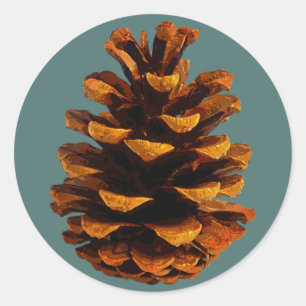 Sticker Rond Pinecone rustique nature brun turquoise