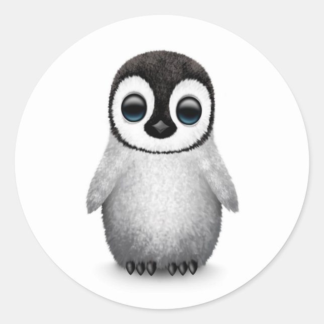 Sticker Rond Pingouin bébé mignon sur blanc (Devant)