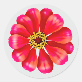 Sticker Rond Pink Zinnia