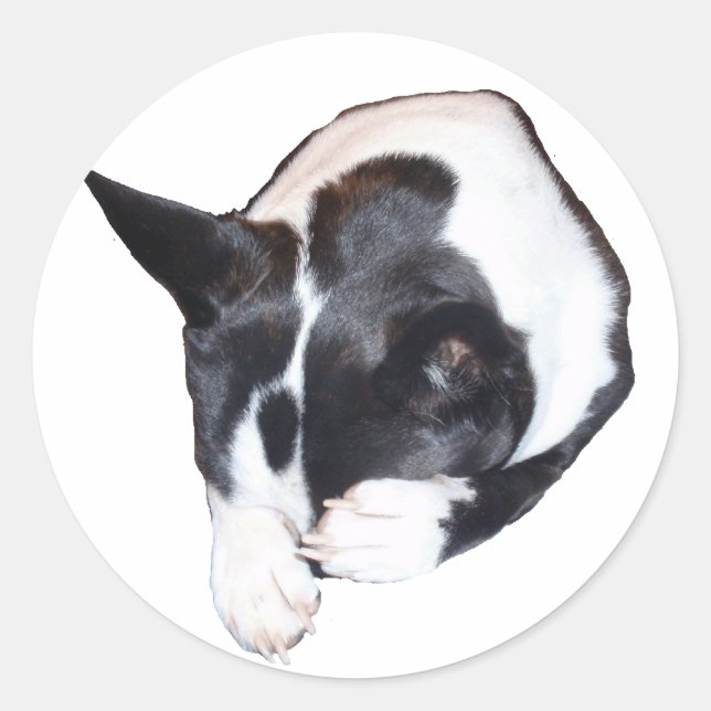 Sticker Rond Piper - Dormir (Devant)