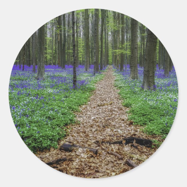 Sticker Rond Piste (Devant)