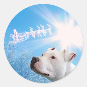 Sticker Rond PItbull Chien blanc souhait Noël
