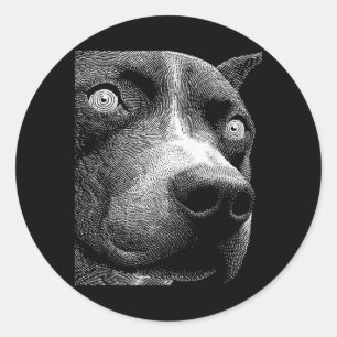 Sticker Rond Pitbull hypnotique yeux étranges weirdcore effraya